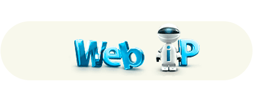 web-ip logo